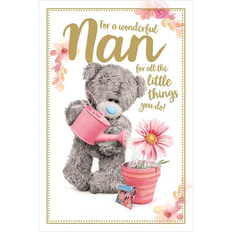 Wonderful Nan Me to You Bear Mother's Day Card £2.49